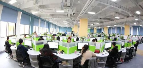 国家科技部火炬中心领导调研永川高新区，强调软件技术服务创新驱动发展